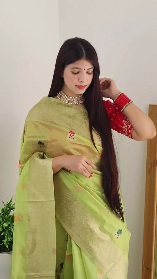 Soft Organza Jacquard Saree ,Function Wedding Sari With Blouse