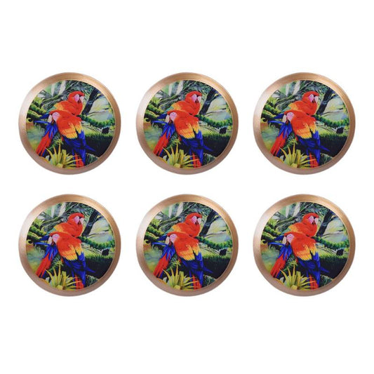 Bird Print Color Coasters | Set Of 6