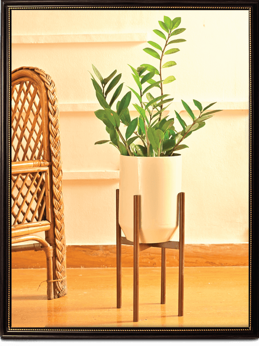 Dove Planter